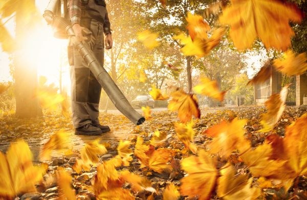 Leaf Blowing Service in Parrish