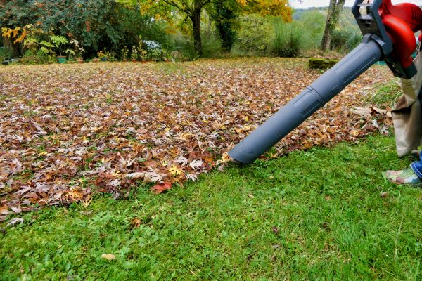 Leaf Vacuuming Service in Parrish