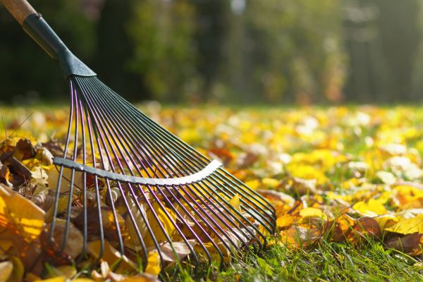Leaf Raking Service in Parrish