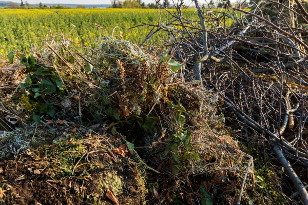 Brush Disposal in Parrish