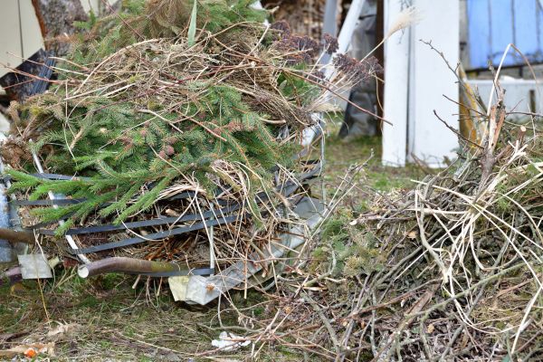 Yard Waste Removal Service in Parrish