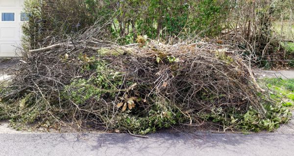 Tree Limb Cleanup in Parrish