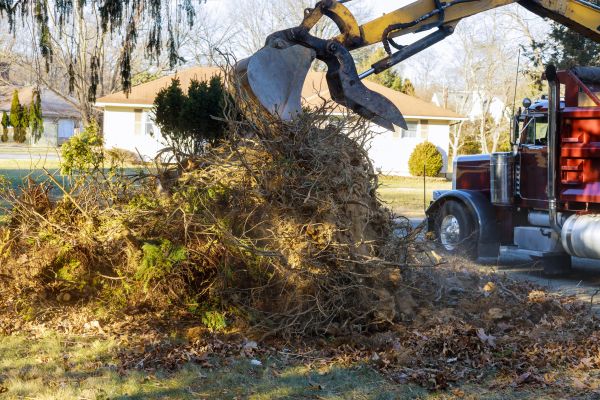 Storm Debris Removal in Parrish