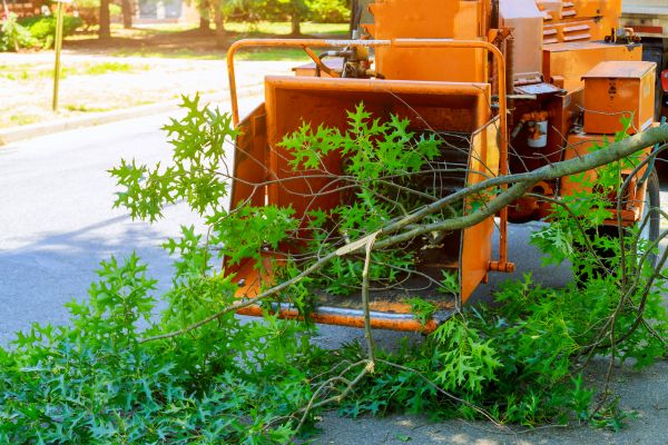 Tree Branches Removal in Parrish