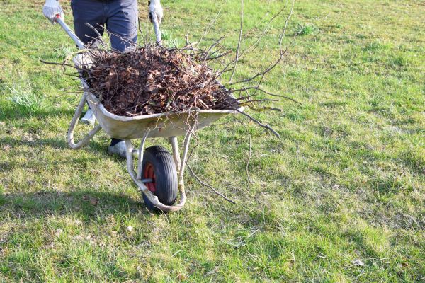 Yard Brush Removal in Parrish