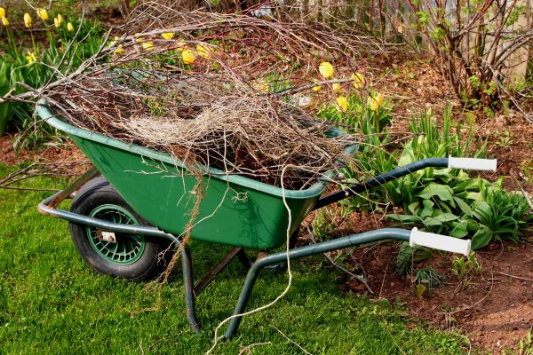 Lawn Waste Removal in Parrish