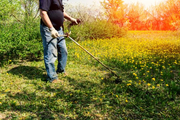 Cost of Yard Clearing Service in Parrish