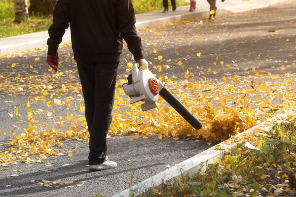 Commercial Leaf Removal in Parrish