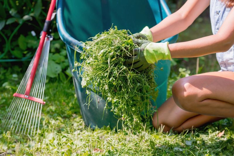 Clean Yard with Raked Leaves